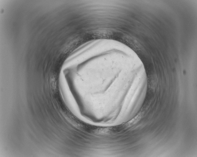 X0000059830086200511181458