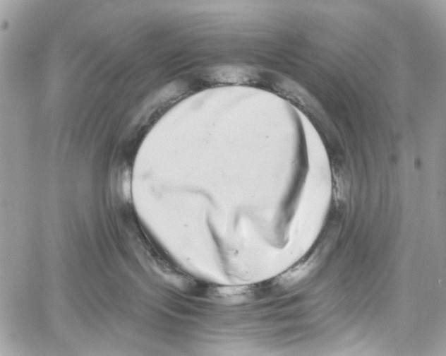 X0000059830095200511181459