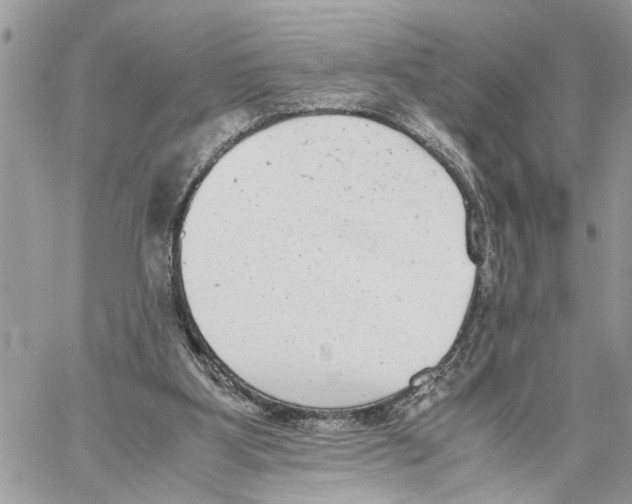 X0000059830107200511181458