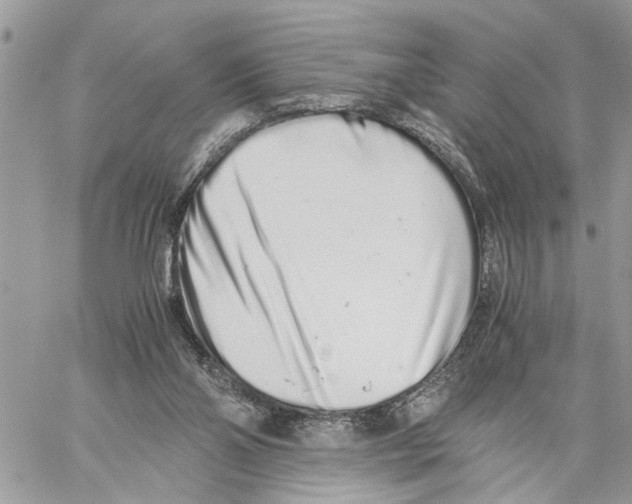 X0000059830110200511181458