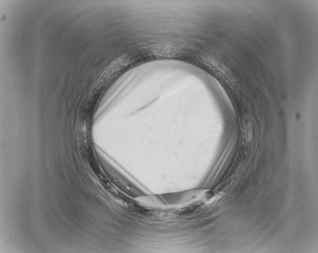 X0000059830117200511181457