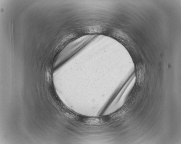 X0000059830123200511181457