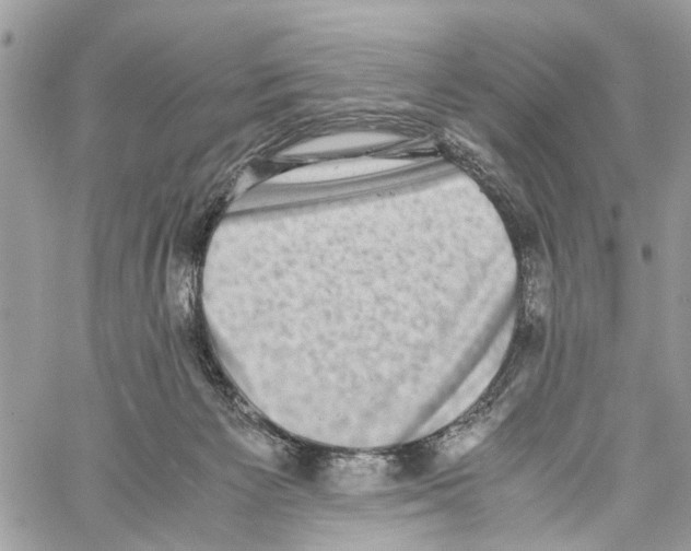 X0000059830125200511181457