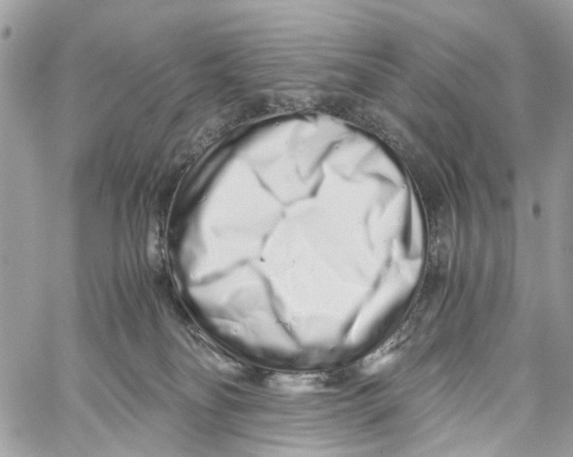 X0000059830134200511181457