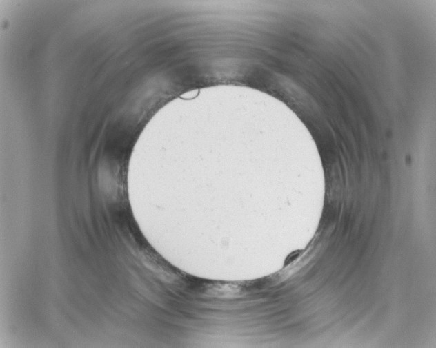 X0000059830140200511181457