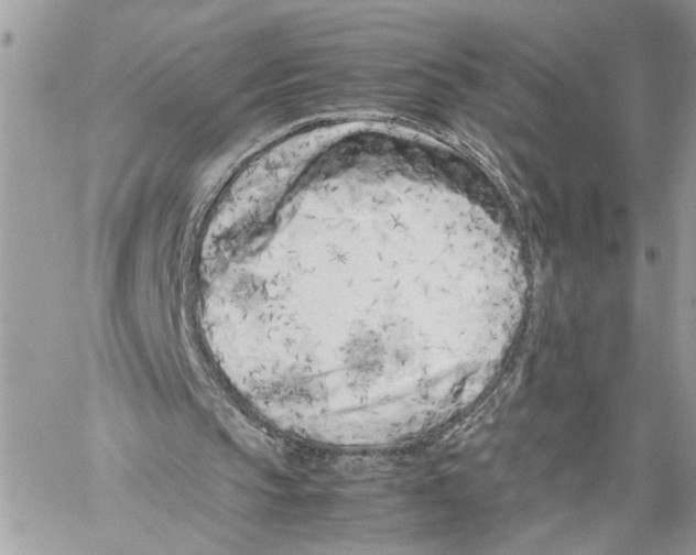 X0000059830145200511181456