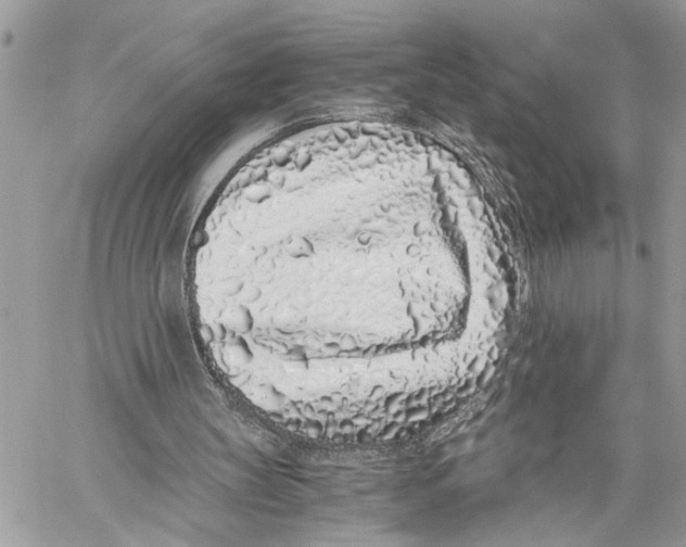 X0000059830147200511181456