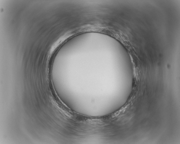 X0000059830150200511181456