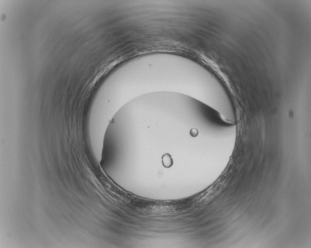 X0000059830154200511181456