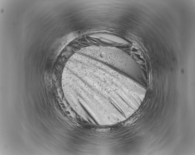 X0000059830156200511181456