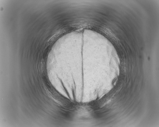 X0000059830165200511181457