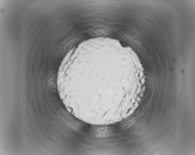 X0000059830181200511181457