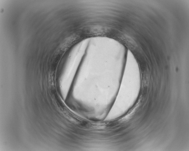 X0000059830182200511181457