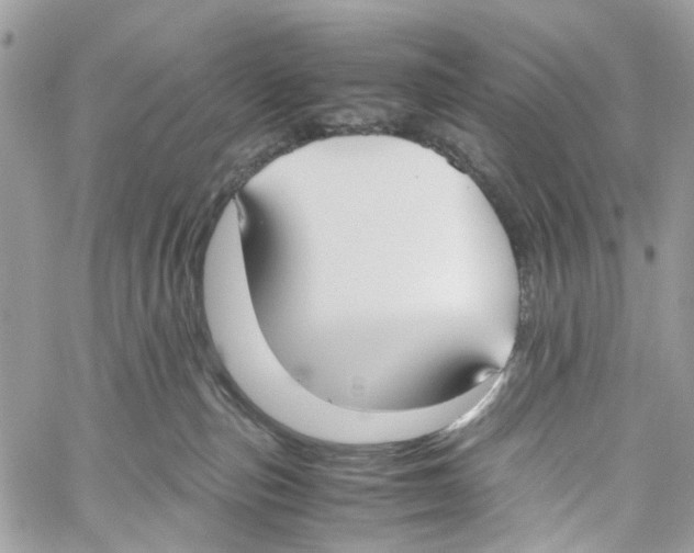 X0000059830187200511181457