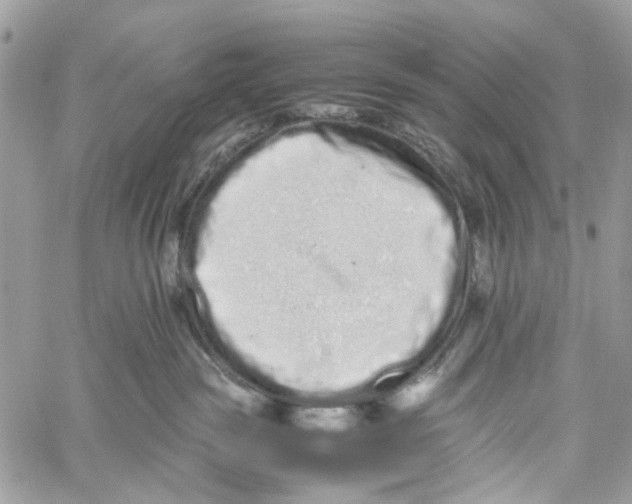 X0000059830189200511181457