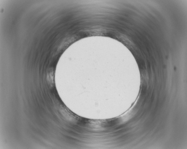 X0000059830190200511181457