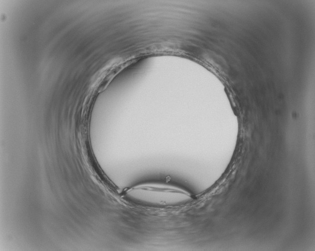 X0000059830193200511181456