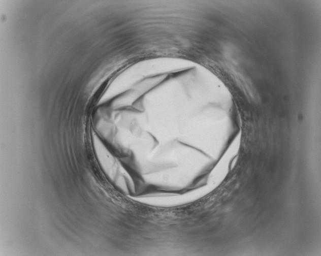 X0000059830194200511181456