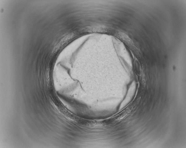 X0000059830202200511181456