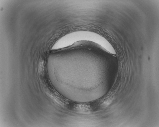 X0000059830223200511181456