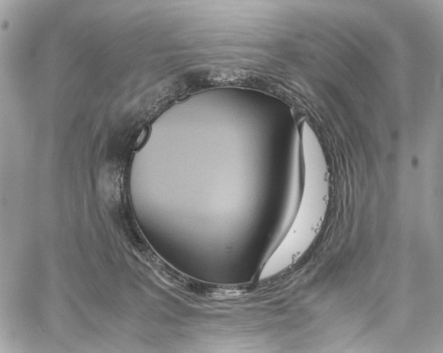 X0000059830227200511181456