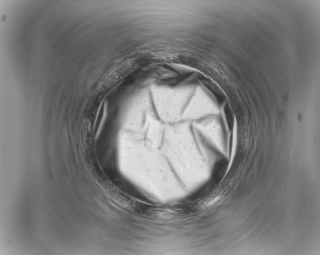 X0000059830229200511181456