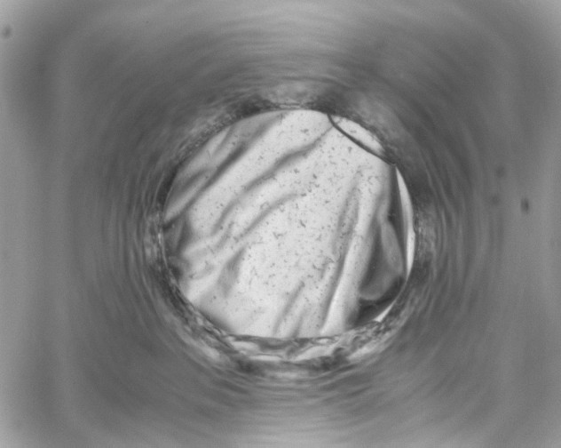 X0000059830237200511181455