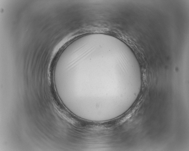 X0000059830246200511181455