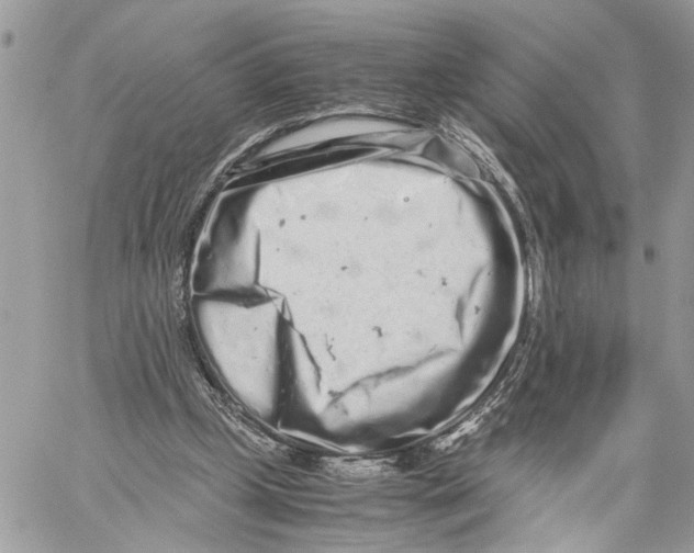X0000059830249200511181455