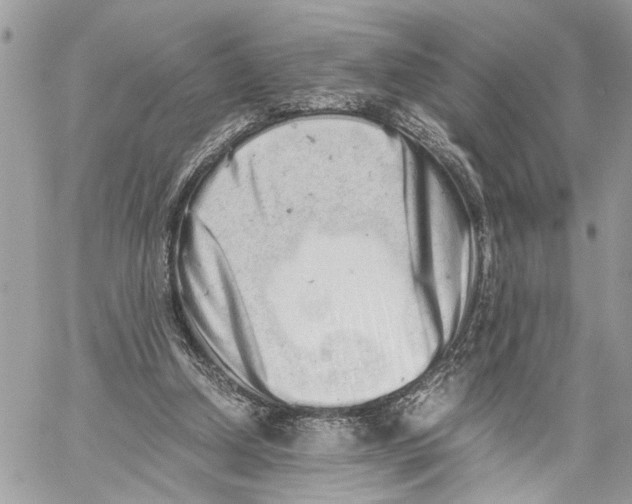 X0000059830250200511181455