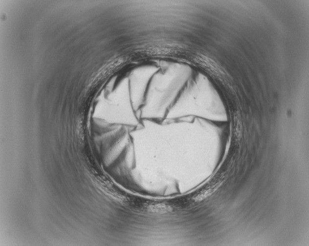 X0000059830258200511181455