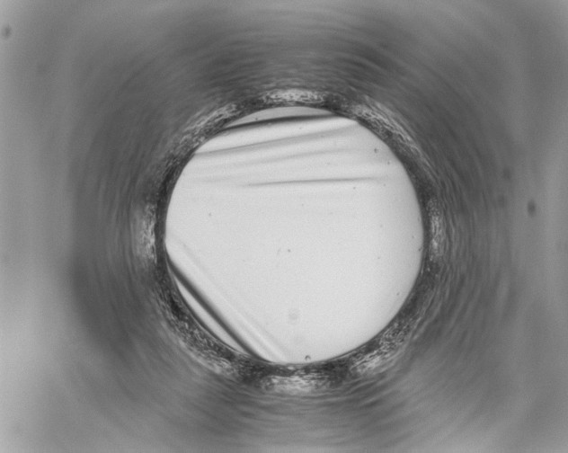X0000059830259200511181455