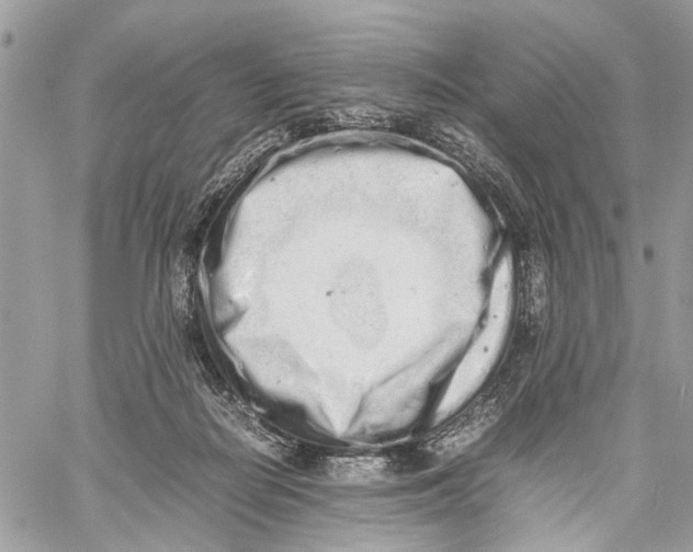 X0000059830266200511181455