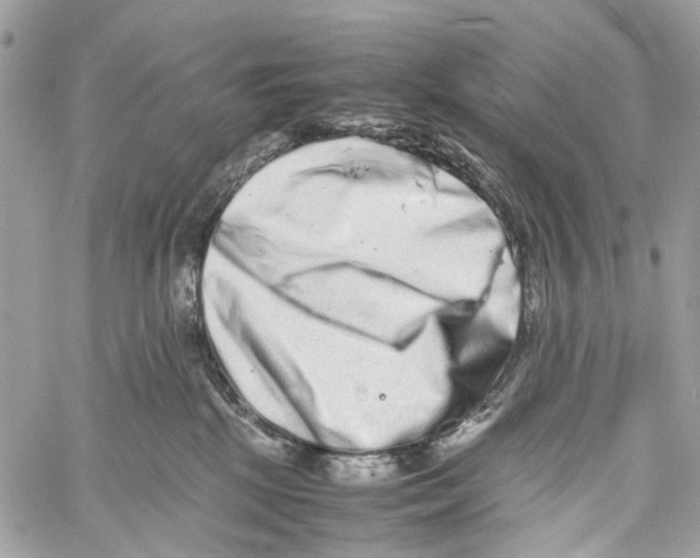 X0000059830281200511181455
