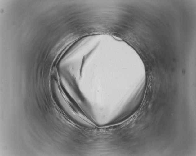 X0000059830290200511181455