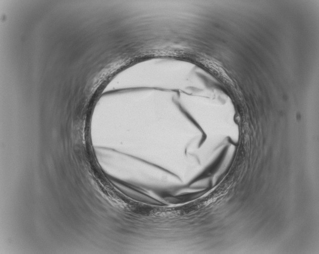 X0000059830299200511181454