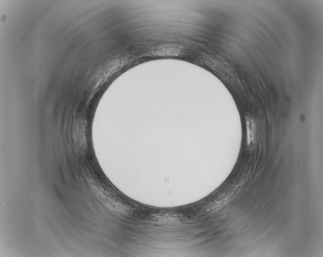 X0000059830300200511181454