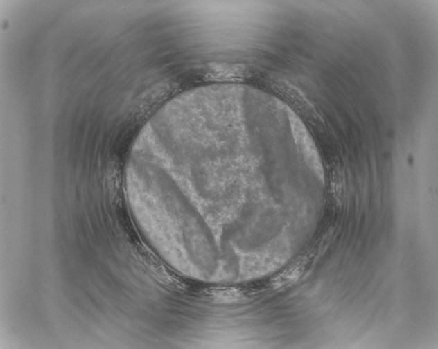 X0000059830322200511181454
