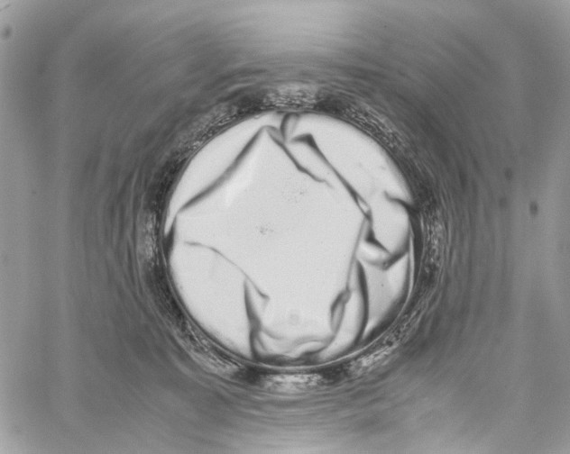 X0000059830323200511181454