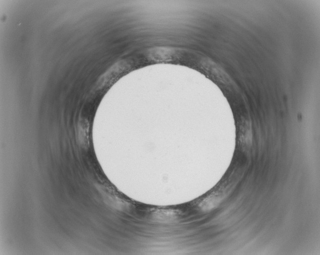 X0000059830332200511181454