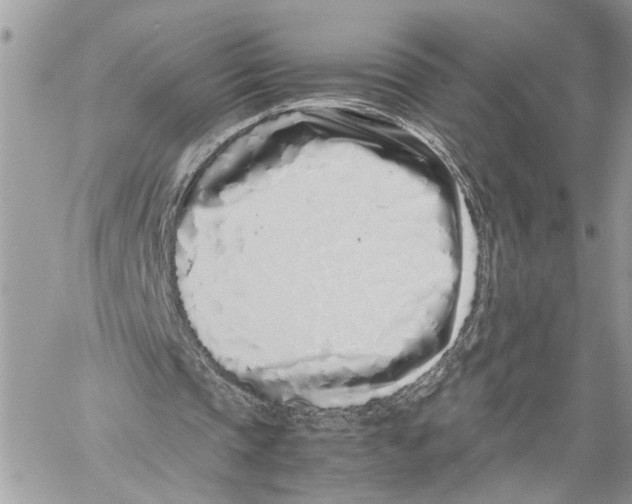 X0000059830337200511181453