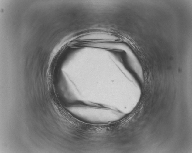 X0000059830343200511181453