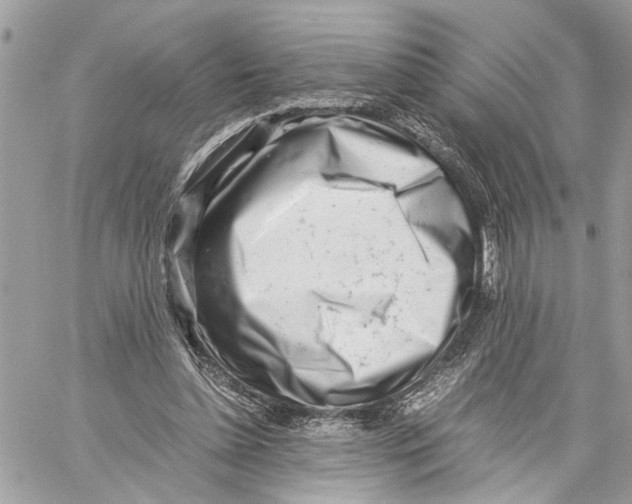 X0000059830348200511181453