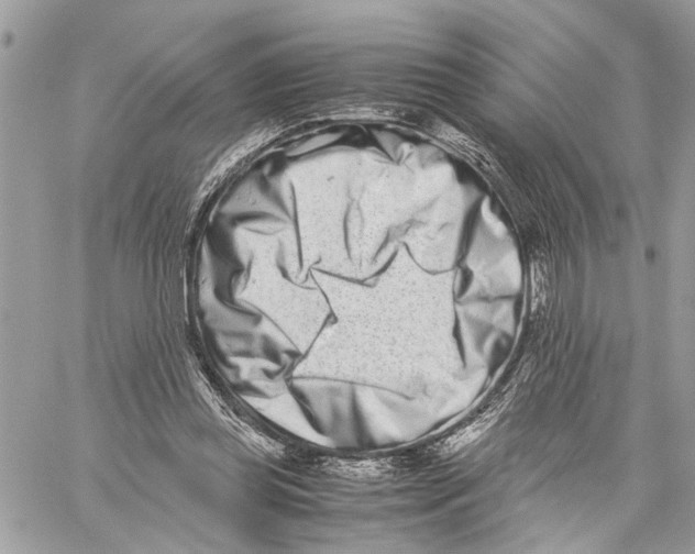 X0000059830349200511181453