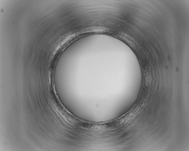 X0000059830350200511181453