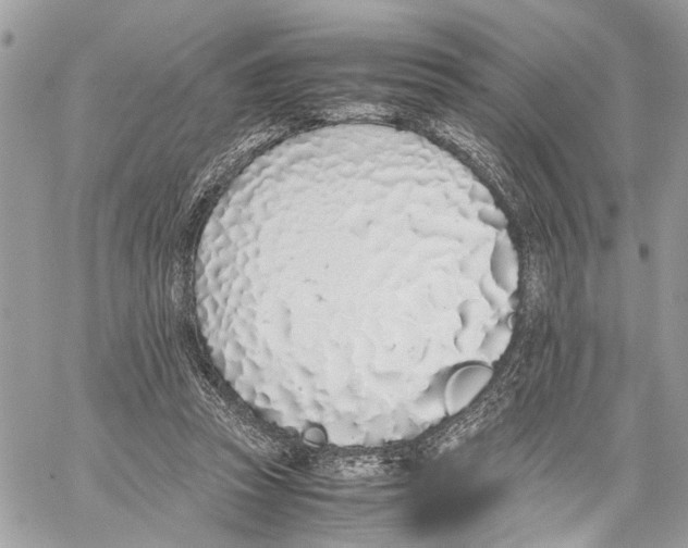 X0000059830353200511181453