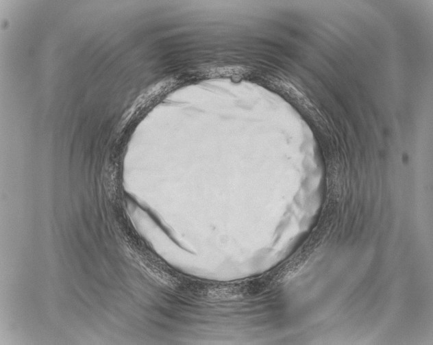 X0000059830357200511181453