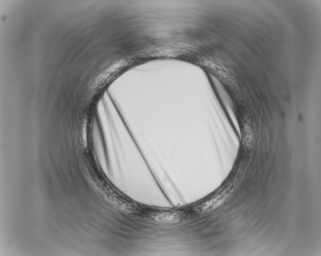 X0000059830358200511181453
