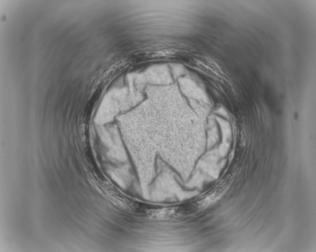X0000059830366200511181454