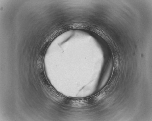 X0000059830367200511181454